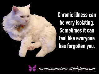 Image: cat.  Text: Chronic illness can be very isolating. Sometimes it can feel like everyone has forgotten you.