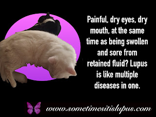 Image two cats lying back-to-back.  Text: Painful, dry eyes, dry mouth, at the same timeas being swollen and sore from retained fluid? Lupis is like multiple diseases in one.
