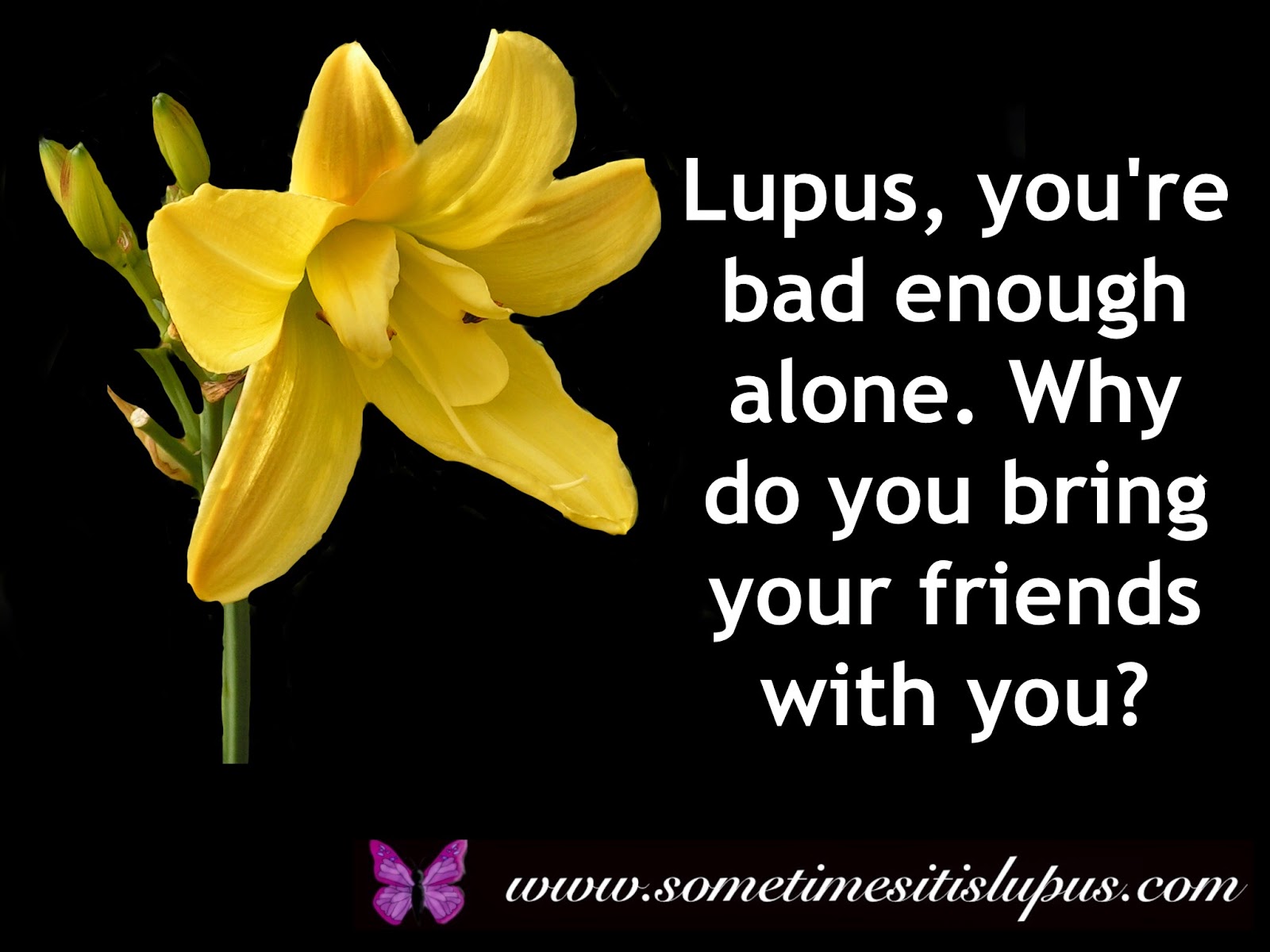 Image flower with text "Lupus, you're bad enough alone. Why do you bring your friends with you."