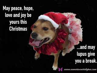 Image: My dog in santa hat and tutu. Text: may peace, hope, love and joy be yours this Christmas... and may lupus give you a break.