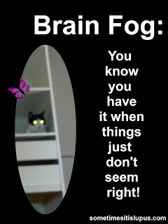 Image: Cat in wardrobe.  Text: Brain Fog you know you have it when things just don't seem right.
