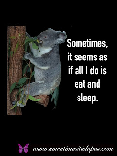 Image: koala chewing gum leaves. Text: Sometimes, it seems as if all I do is sleep and eat.