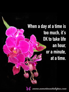Image: dark pink orchid. Text: when a day at a time is too much, it's OK to take life an hour, or a minute, at a time.