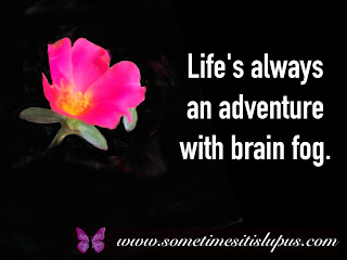 Image: pink flower. Text: Life's always an adventure with brain fog.
