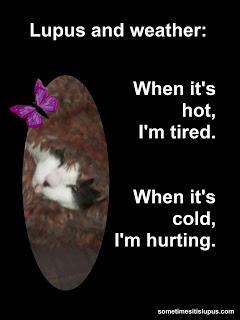 Image of cat snuggled in furry blanket.  Text: Lupus and weather. When it's hot, I'm tired. When it's cold, I'm hurting.