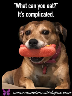 Image: dog holding toy hotdog.  Text: "What can you eat?"  It's complicated.