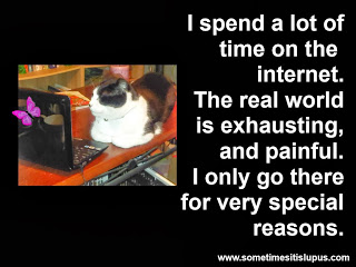 Image: cat looking at computer. Text: I spend a lot of time on the internet. The real world is exhausting, and painful. I only go there for very special reasons.