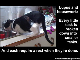 Image: cat drinking out of dishes in sink.  Text: Lupus and housework every task is broken down into smaller tasks and each require a rest when they're done.